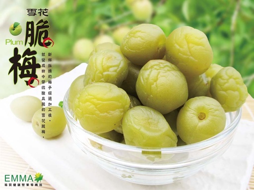 雪花脆梅 600g 酸酸甜甜爽脆口感 純素食